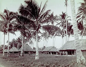 Die Fregaten der Inseln von Samoa