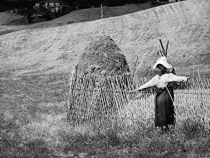 Italian Farmland Scenery Drucke: Scarecrow and sheaf