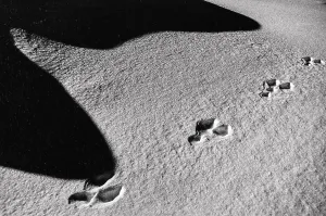 Atmospheric Winter Landscapes Drucke: Shadow on the snow