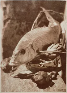 Fisch mit Artischocken