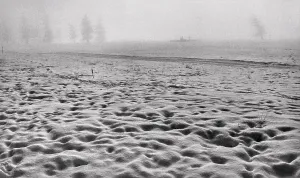 Winter Wonderland Images Drucke: Snow in Celerina