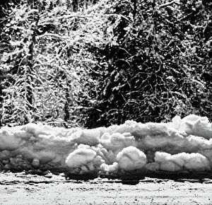 Cold Weather Photography Drucke: Snow in the sun