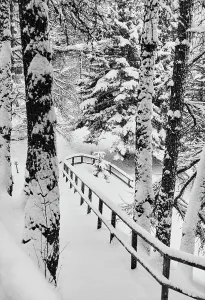 Swiss Mountain Landscapes Drucke: Snow trail at Sankt Moritz
