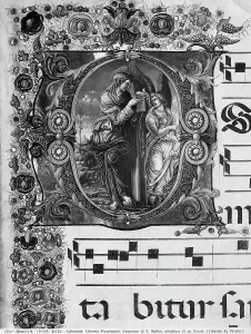 Die Bibliothek der Piccolominis