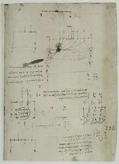 Leonardo da Vincis Skizzen zu "Studi sulle proporzioni" aus dem Codice Arundel 263, c.105r im British Museum in London