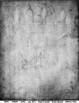Terrestrial Mammals In Art Drucke: Study of animals, drawing by Jacopo Bellini, in the British Museum in London