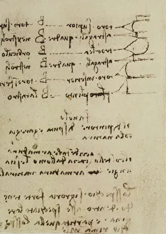 Renaissance Baroque Styles Period Drucke: Study on architecture, writings from the Codex Forster III