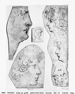 European Renaissance Baroque Style Drucke: Study of different profiles. Drawing by Leonardo, in Windsor Castle, near London