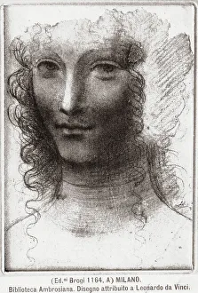Leonardo Da Vinci Drawing Drucke: Study of a face. Drawing attributed to Leonardo da Vinci or his circle