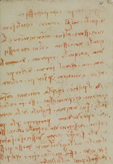 Study on fish, writings from the Codex Forster III