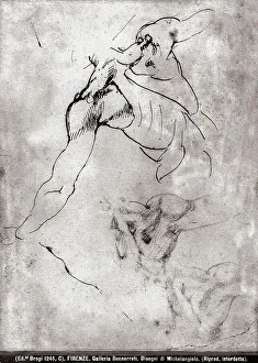 Die Galerie der Medici