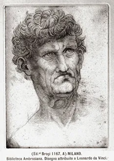 Leonardo Da Vinci Study Drucke: Study for a man's head. Drawing attributed to Leonardo da Vinci