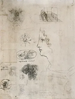 Renaissance Baroque Period Art Drucke: Study for a man's profile, a shield with two dragons