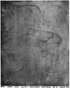 Terrestrial Mammals In Art Drucke: Study of panthers, drawing by Jacopo Bellini, in the British Museum in London