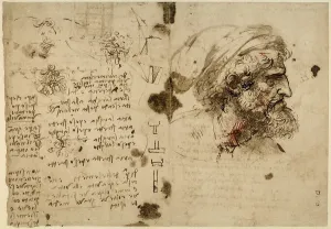 Studio di testa duomo barbato volta di profilo, disegno a penna su carta ingiallita