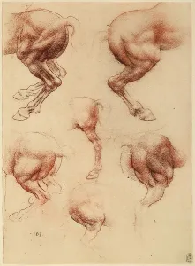 Royal Library Of Windsor Collection Drucke: Study of a running horse