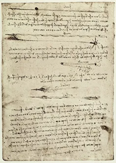 Renaissance Artwork Europe Drucke: Study for some weapons (sirile)