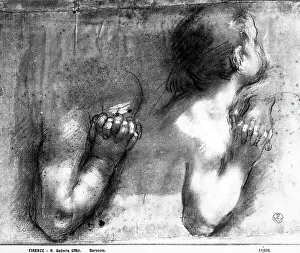 Catholicism In Renaissance Art Drucke: Study of a youth shown with his hands in prayer