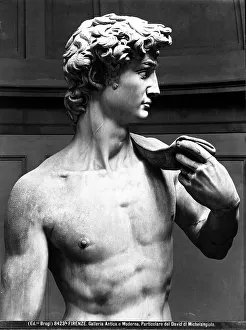Drucke von Das Daviddenkmal von Michelangelo Buonarroti in der Galerie der Akademie in Florenz Michelangelo Buonarroti Drucke: Akademiegalerien