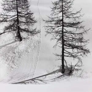 Engadine Switzerland Drucke: Traces, Engadine