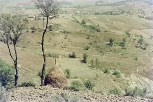 Toskanisches Landschaftsbild