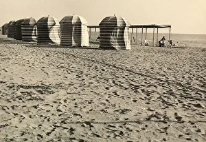 Gerahmter Druck : Bäumchen auf der Strandpromenade Gerahmter Druck : Bäumchen auf der Strandpromenade