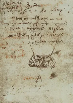 Vari appunti und Skizzen; Blatt aus dem Codex Forster III, c.88v