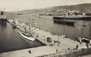 River Transportation Structure Drucke: View of the Audace pier in Trieste