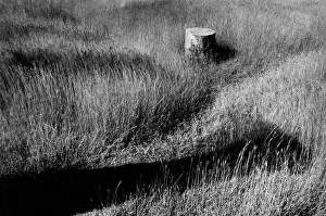 Field Landscape Photography Drucke: View of a field