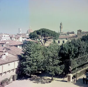 Panorama von Florenz