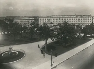 Palm Tree Landscapes Drucke: View of the gardens of Nice