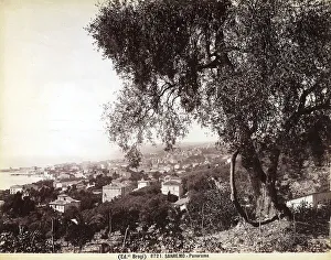 Italian Coastal Town Drucke: View of San Remo