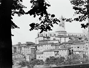 Siena Duomo Drucke: View of Siena with the Duomo in the background