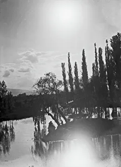 Willow Tree Photography Drucke: View of the sources of Clitunno