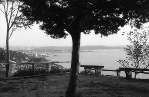Panorama von Triest
