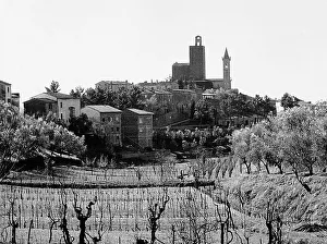 Botanical Garden Scenery Drucke: View of Vinci