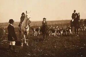 Aus der Fensterblick von Le Gras