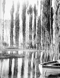 Willow Tree Photography Drucke: Views of the Sources of Clitunno