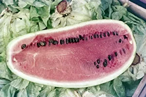Summer Fruit Photography Drucke: Watermelon