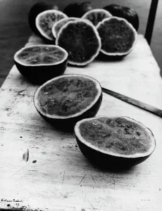 Italienische Melonen