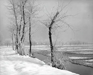 Gerahmter Druck : Winterlandschaft Gerahmter Druck : Winterlandschaft