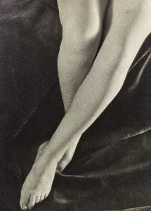 Female Nude Photography Drucke: Woman's legs