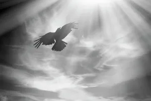 Abstrakt des Vogels im Flug