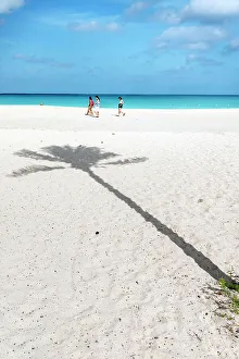 Aruba, Egelbucht Schatten eines Palmenbaums auf einer sandigen Strandstraße