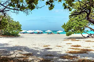 Leeward Islands Vacation Spot Drucke: Aruba, Eagle beach scene