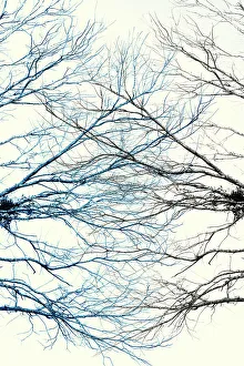 Branche Kunst