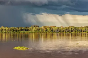 Amazon Rainforest Landscape Drucke: Brazil, Amazon river scene