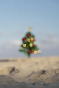 Weihnachtsträger am Strand