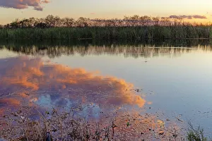 Peaceful Sunset Drucke: Clouds reflecting over water at sunset
