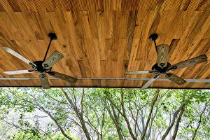 Architectural Detail Drucke: Detail of fans on a ceiling